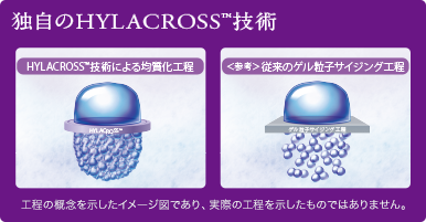 Hylacross技術